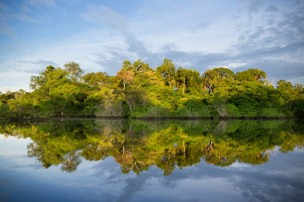 photo of an island reflecting into the amazon riverAmazonia, 2015 (photo), Vasconcellos, Cassio (b.1965)  © Cassio Vasconcellos  Bridgeman Images 6352988