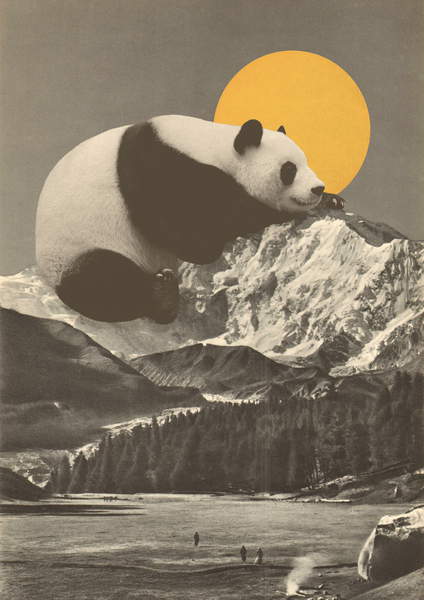 image of a panda resting on top of a mountain, big yellow sun on the background Pandas Nap into Mountains, Bodart, Florent  Private Collection  © Florent Bodart  Bridgeman Images  6203930