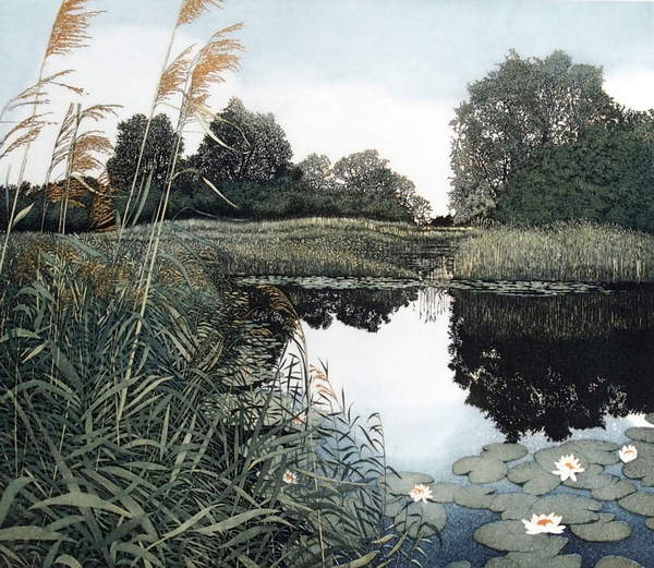 view of a corner of a pond, water, waterlilies, reflections Wicken Fen, 1982 (etching and aquatint), Greenwood, Phil (b.1943)  © Phil Greenwood  Bridgeman Images 6323367