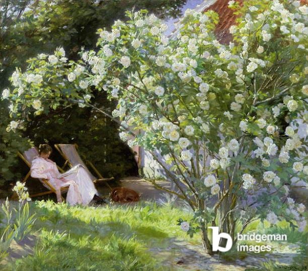 Roses, or The Artist's Wife in the Garden at Skagen (oil on canvas), 1883, Peder Severin Kroyer (1851-1909) / Skagens Museum, Denmark / Bridgeman Images