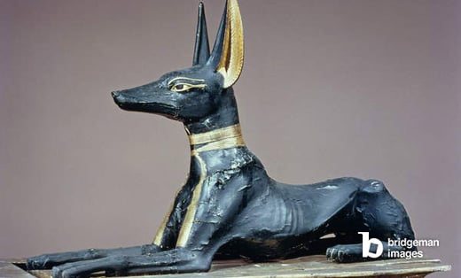Anubis, Egyptian god of the dead, from the tomb of Tutankhamun (c.1370-52 BC) New Kingdom (wood), Egyptian 18th Dynasty (c.1567-1320 BC) / Egyptian National Museum, Cairo, Egypt / Bridgeman Images