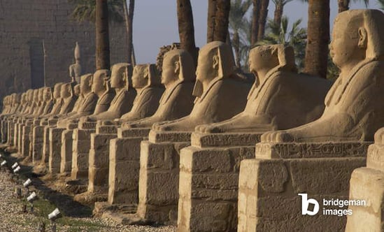 Temple of Luxor, Avenue of the Sphinxes / Tarker / Bridgeman Images